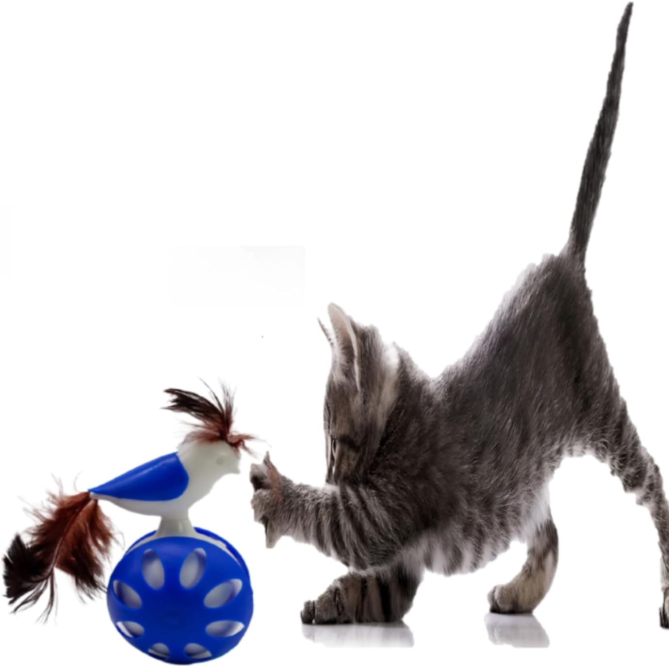 Tineke TEKERLEKLİ HACIYATMAZ KUŞ KEDİ OYUNCAĞI 1 ADET (MAVİ)