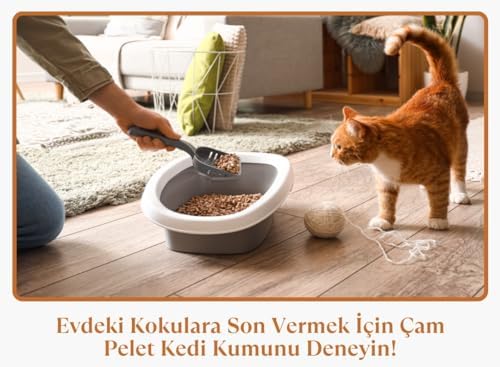 Premium Plus Çam Peleti Kedi Kumu 15 LT Yavru/Yetişkin Kediler ve Küçük Hayvanlar için%100 Organik Kedi Kumu - Astımlı ve Alerjik Kediler için Uygun - Kimyasal İçermeyen Çam Peleti