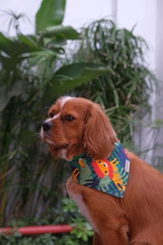 Alternative view of Hayvan Desenli Köpek Fuları Bandanası Köpek Kıyafeti Yeşil XS