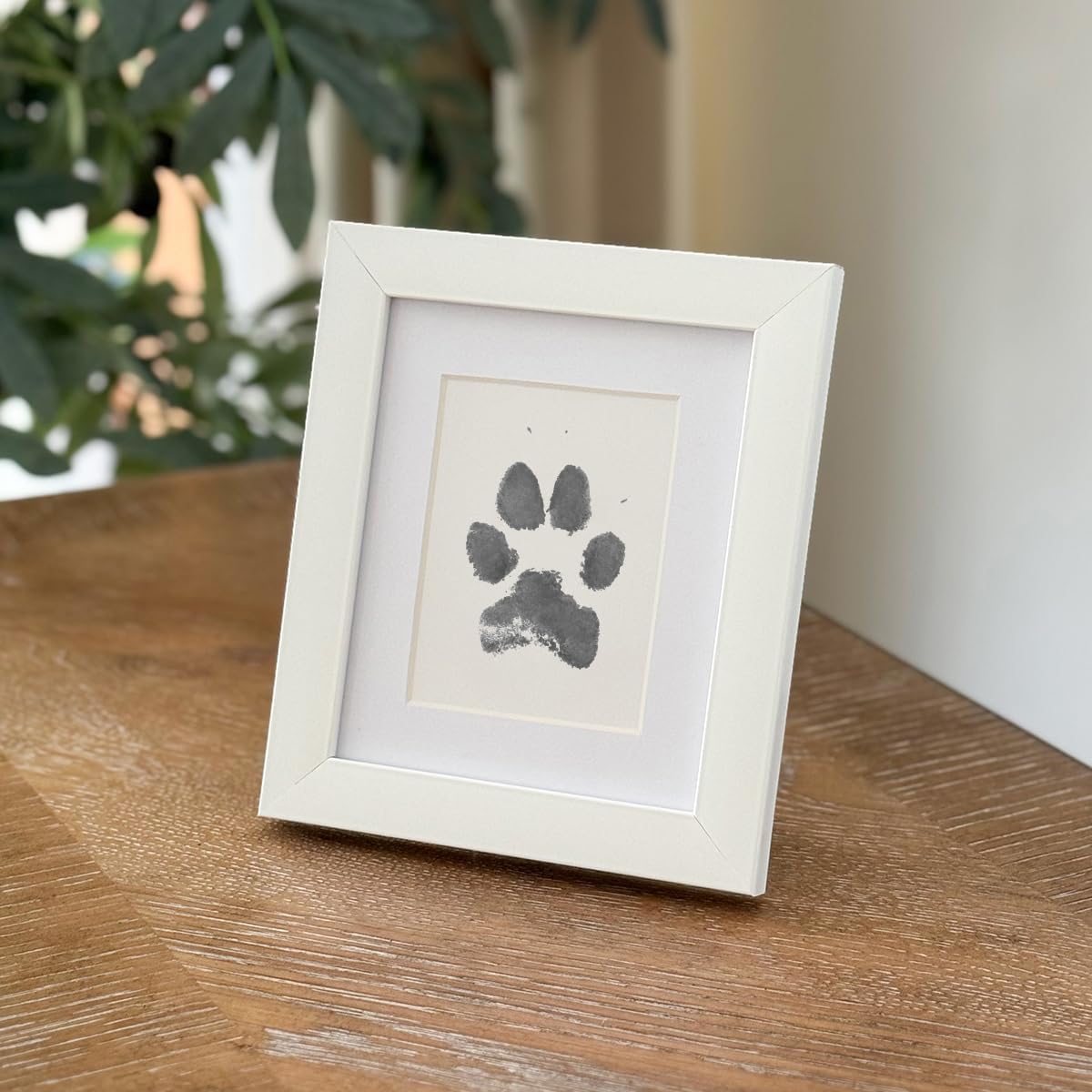 Tekli Evcil Hayvan Pati İzi ve Fotoğraf Çerçevesi - Kedi Köpek ve Kuş ile Uyumlu - Sadece Çerçeve