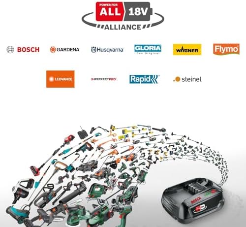 & Spray 18V-300 (Solo)