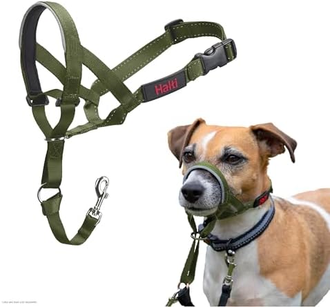 Alternative view of of Animals HALTI Başlık - Köpeğinizin Tasmayı Çekmesini Durdurmak İçin. Ayarlanabilir, Yansıtıcı ve Hafif, Dolgulu Burun Bandı. Küçük Köpekler için Köpek Eğitimi Çekme Önleyici Yaka (Beden 1, Orman Yeşili)