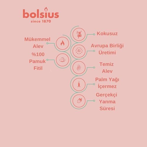 bolsius Yeşil Limon Renkli Konik Şamdan Yemek Mumu 7,5 Saat Yanma Süreli 24,5 cm (12 Adet - 1 Kutu)