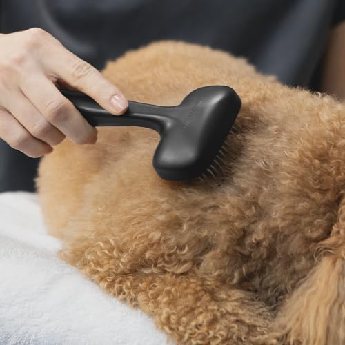 Tweezerman Küçük Evcil Hayvanlar için Köpek ve Kedi Slicker Fırçası, Çizilmeyi ve Ergonomik Sapı Önlemek için Kaplamalı Kıllı Bakım Fırçası