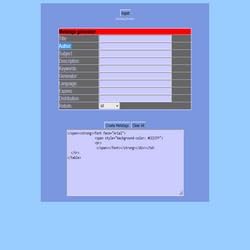 Alternative view of Metatag builder