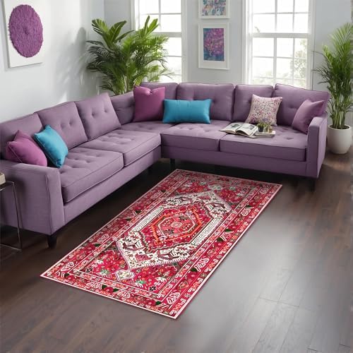 Zaren Kadife Kaymaz Pamuk Tabanlı Yıkanabilir Antibakteriyel Salon Halısı 200x300