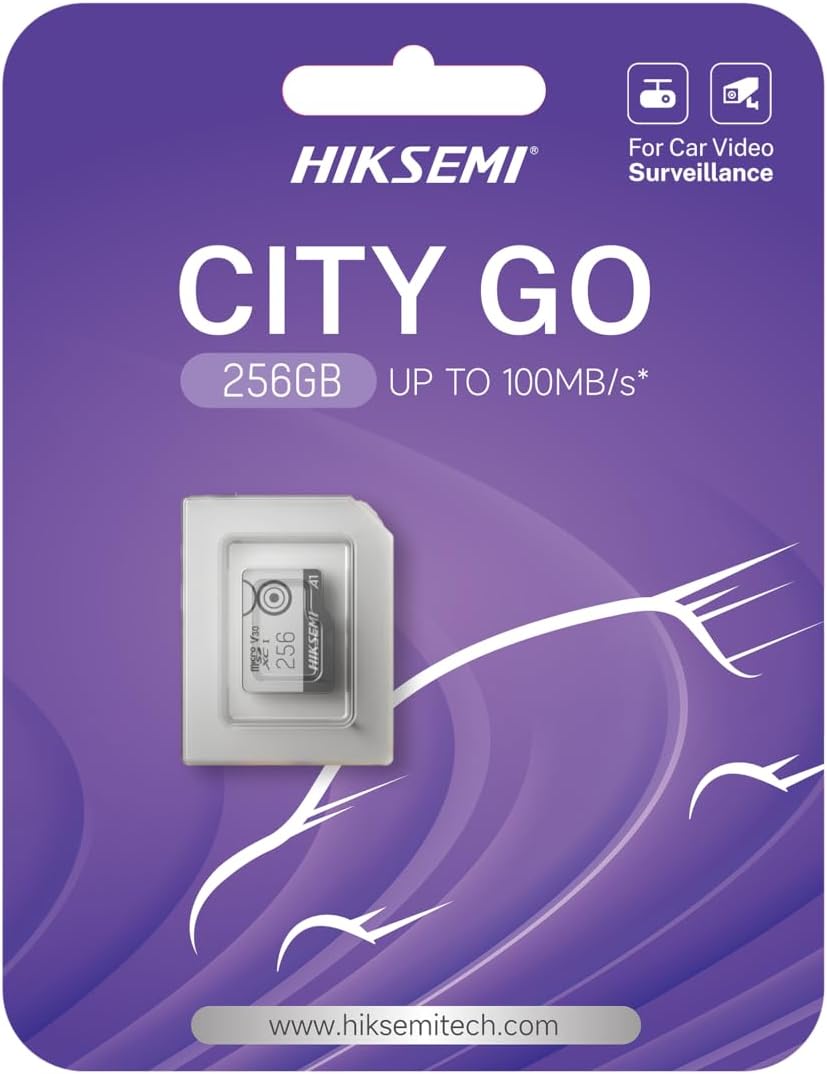 HS-TF-M1 256 GB Micro SD