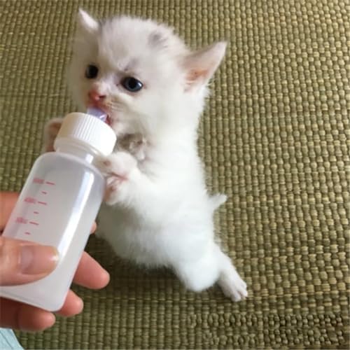 Alternative view of Yavru Kedi Köpek Biberonu 2 Emzikli 50 ml (1 Adet)