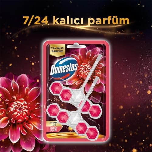 Alternative view of Domestos Wc Block Aroma Yıldız Çiçeği 2 x 50g