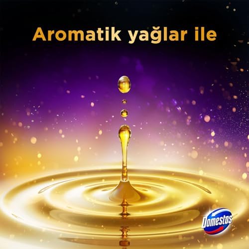 Domestos Wc Block Aroma Lux Mor Menekşe 2 x 50g