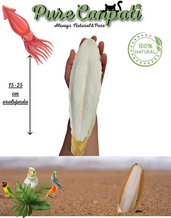Alternative view of XL Kalamar Kemiği(İri Boy 15-20 cm aralığında)