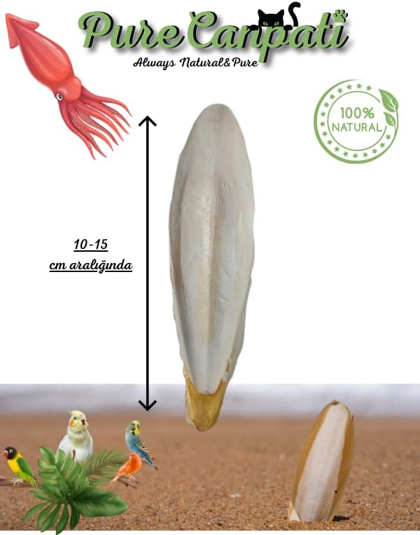 Alternative view of L Boy Kalamar Kemiği(İri Boy 10-15 cm aralığında)