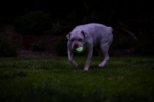 Alternative view of Chuckit! Air Glow Getirme Topu Köpek Oyuncağı, Orta (2,5 İnç), 1 adet, Irklar için 20-60 lb
