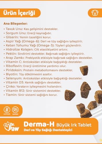 Derma H Plus/Deri ve Tüy Sağlığı Destekleyici Premium Tablet (60 adet/120gr)