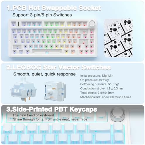 Aula F75 Mekanik RGB TKL Seiya Switch Kablosuz Makrolu Hot Swap Klavye Gradyan Mavi