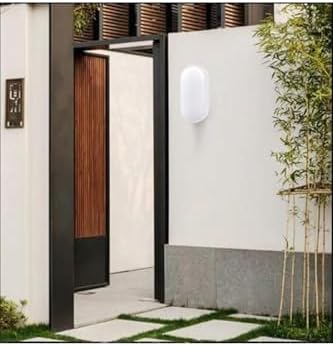 Banyo Tavan Lambası 20W Oval Balkon Tavan Lambası 6400K Beyaz LED Işık Teras Duvar Lambası (Beyaz)