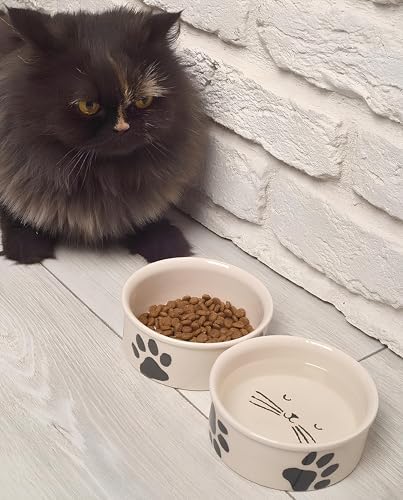 2'li Doğal Hijyenik Fırınlanmış Seramik Kedi Mama Ve Su Kabı Seti