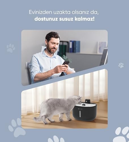 Şımart Akıllı Evcil Hayvan Sebili