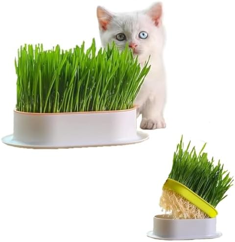 Özel Plastik Kâseli 0 Doğal Fileli Kedi Çimi (tüy Yumağı Önleyici)