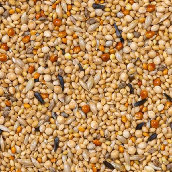 Alternative view of Deli Premium Foreign Finches Finch Yemi 1100gr