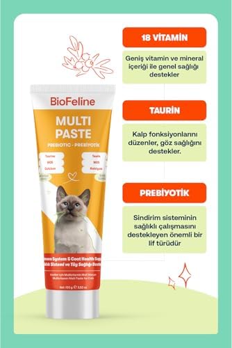 Alternative view of Biofeline Multivitamin Macun 100g
