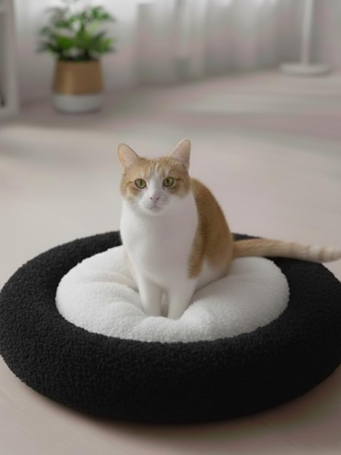 Beylini Kedi Köpek Yatağı Peluş Kumaş Minderli Konforlu Oyun Uyku Alanı Yatağı 50x50 (Siyah)