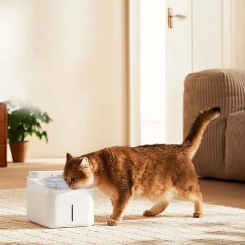 Alternative view of Smart Pet Fountain 2 Akıllı Evcil Hayvan Su Haznesi (Türkiye Garantili)