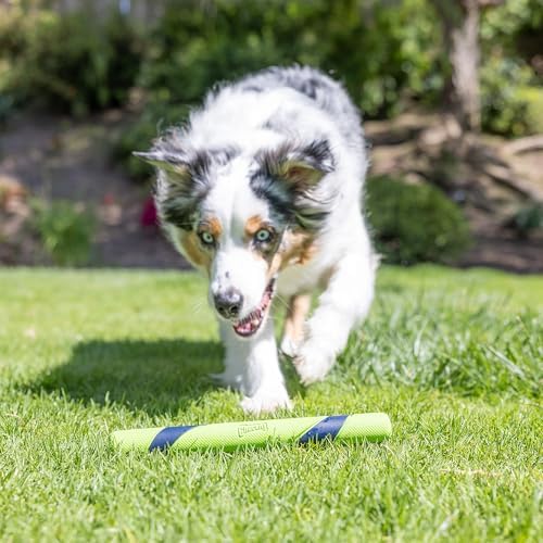Alternative view of Chuckit! Peanut Butter Sniff Fetch Stick Köpek Oyuncağı, (30 cm Uzunluk), Kokulu Köpek Oyuncağı, 1'li Paket, Tüm Irklar ve Boyutlar için