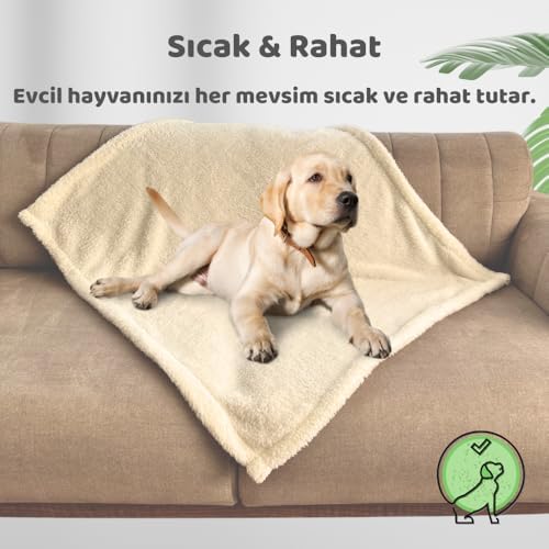 Beylini Kedi Köpek Battaniyesi Premium Peluş Evcil Hayvan Uyku Battaniyesi Yıkanabilir Krem (60x80)