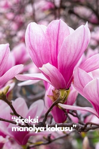 Alternative view of ALYA 's Scents Magnolia - Manolya Oda Kokusu Yedek Makine Spreyi 250 ml