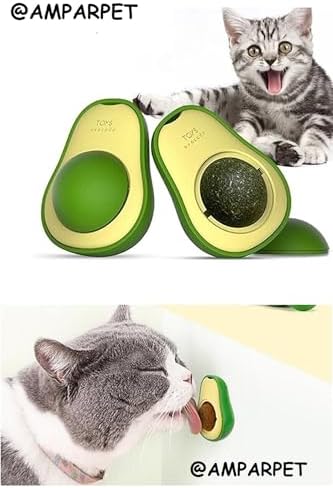 AmparPet Catnip Kedi Çimi Topu Kedi Nanesi Oyuncağı