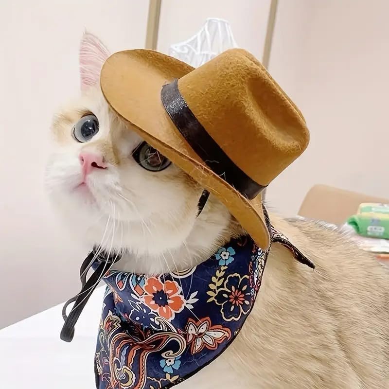Alternative view of Komik Evcil Kedi Kovboy Şapkası