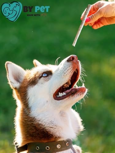 Alternative view of Doğal İşkembeli Köpek Ödül Maması, Köpek Munchy Çubuk 40 Adet
