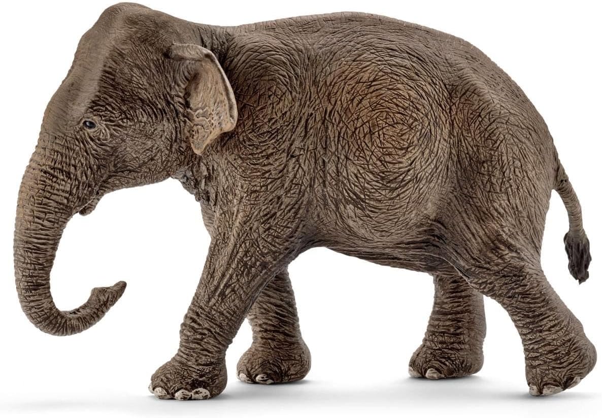 Alternative view of SCHLEICH Dişi Fili, Oyuncak Figür