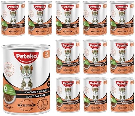 Yetişkin Kedi Somonlu ve Jöleli Konserve Mama 400 Gr x 12 adet