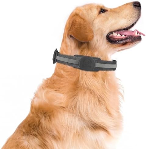 Buff TagSafe Dogcol Taşınabilir Anahtarlık AirTag Kılıf, Köpek Tasması ile Uyumlu, Kaybolma Önleyici Koruyucu Kılıf (Siyah)