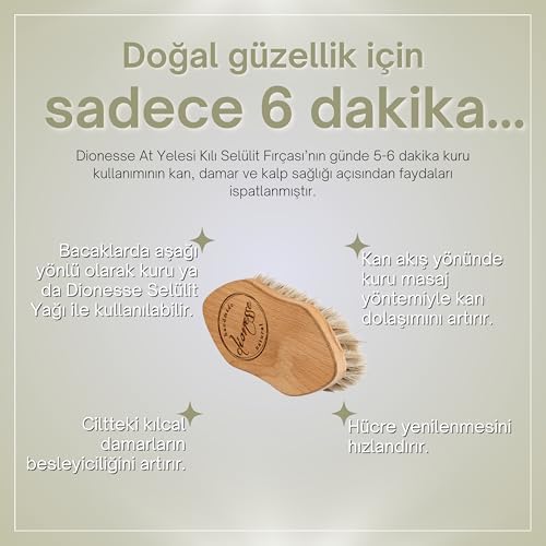 Alternative view of At Kılı Fırçası | 100% Doğal Kayın Ağacı ve At Yelesi Kıllarından El Yapımı Selülit Fırçası