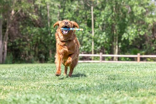 Alternative view of Chuckit! Eco Fetch Stick Doğa Dostu Köpek Oyuncağı