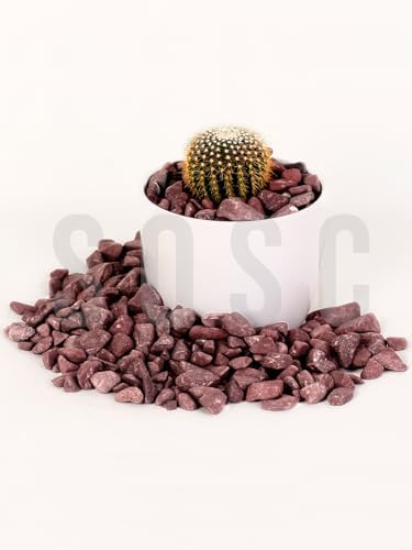 Bordo Çakıl Taşı Dolomit Taşı Bahçe Süsü Akvaryum Taşı Dere Çakıl Taşı 2-3 Cm 3 Kg