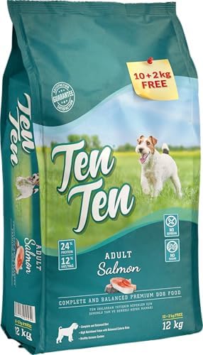 Ten Ten Somonlu Yetişkin Köpek Maması 10+2 KG