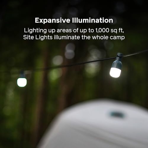 BioLite Site Lights Zincirlenebilir Kamp Işıkları