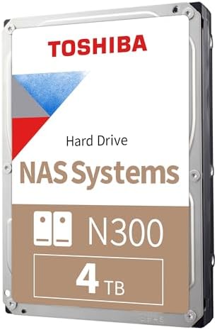 Bulk N300 NAS Sabit Sürücü 4TB