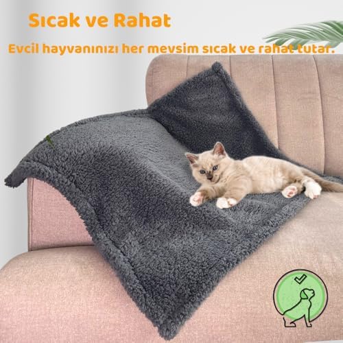 Beylini Kedi Köpek Battaniyesi Premium Peluş Evcil Hayvan Uyku Battaniyesi Yıkanabilir Gri (80x100)