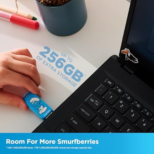 Smurfs USB Disk 256 GB