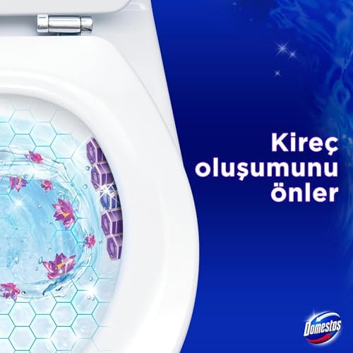 Domestos Tuvalet Bloğu Çiçeği 100 Gram
