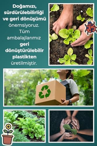Elektriklenen Saçlar ve Düşen Kaşlar İçin İz Bırakmayan Keratinli Arganlı Saç Kaş Waxı - 15ml