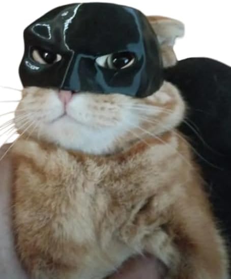 Yetişkin Kediler İçin Maske - Sevimli ve Eğlenceli Kedi Aksesuarı