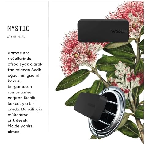 Alternative view of VAVANA Araba Klima Kokusu, Flat Oto Kokusu, 60 Gün Etkili Araç Kokusu (Siyah Musk)