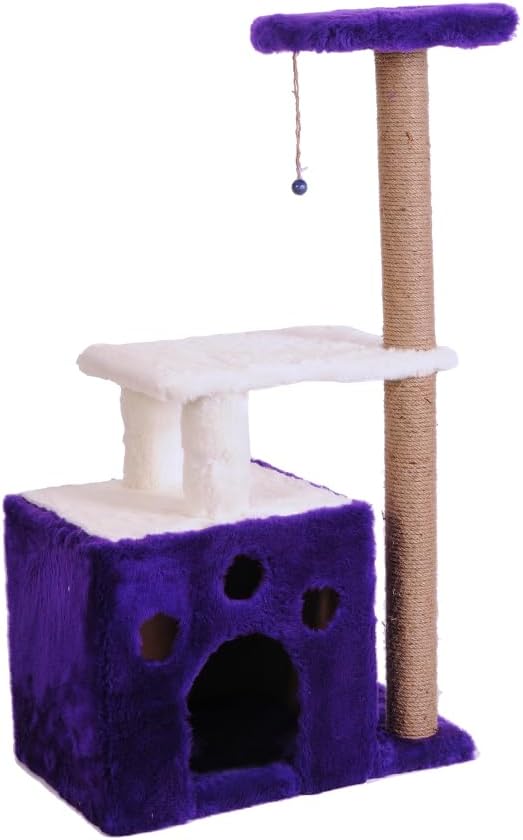Mio Kedi Tırmalama, Gordion, Mor