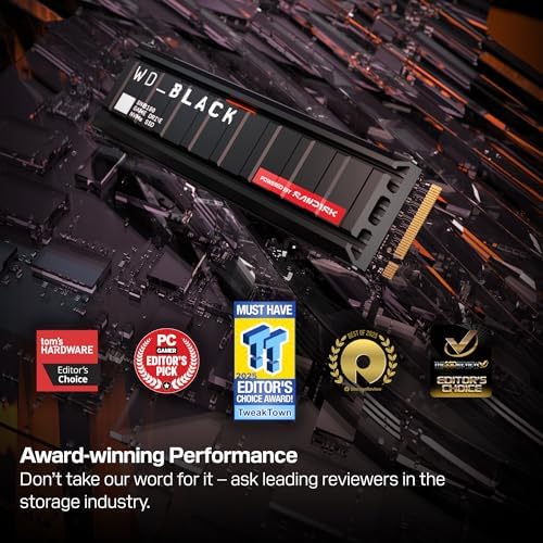 WD SSD with HS / SN8100 1TB